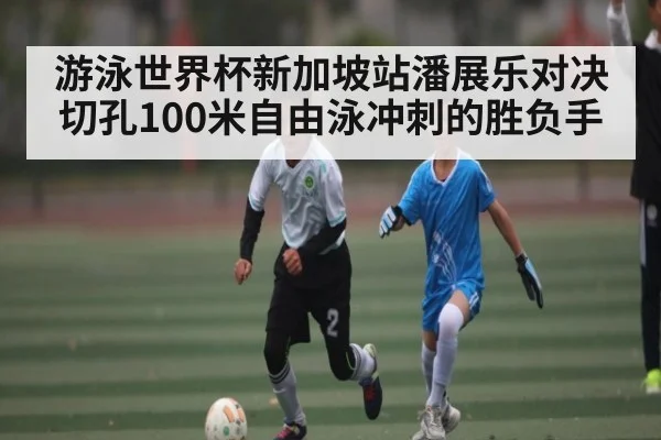 游泳世界杯新加坡站潘展乐对决切孔100米自由泳冲刺的胜负手 | ayx.com